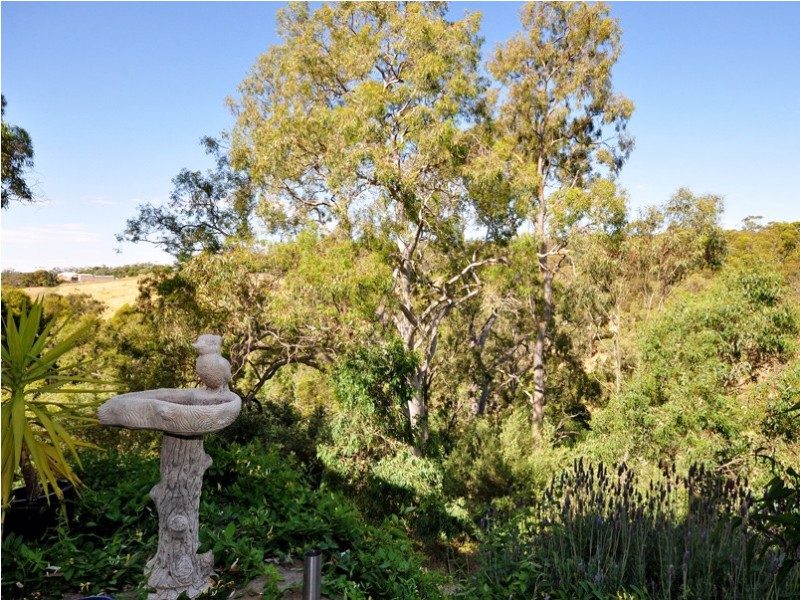 16 Scenic Court, Chandlers Hill SA 5159