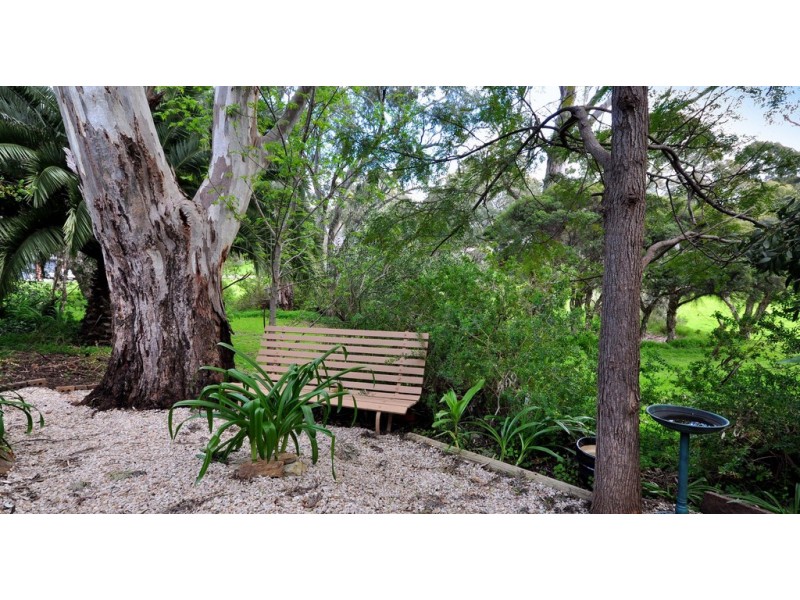 8 Grassdale Rise, Aberfoyle Park SA 5159