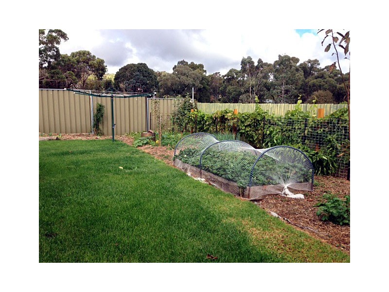 7 Trott Court, Happy Valley SA 5159