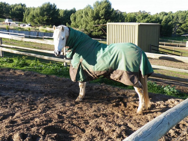 86 Liston Road, Lonsdale SA 5160