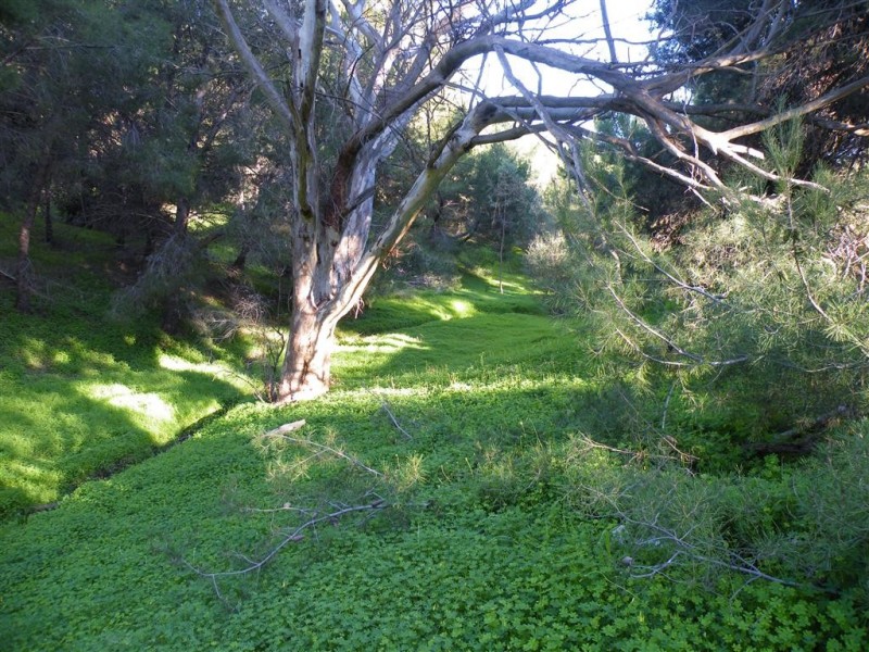 86 Liston Road, Lonsdale SA 5160