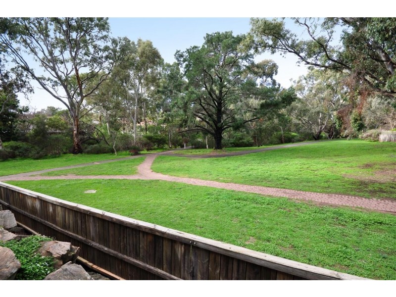 11 Margaret Cutten Grove, Aberfoyle Park SA 5159