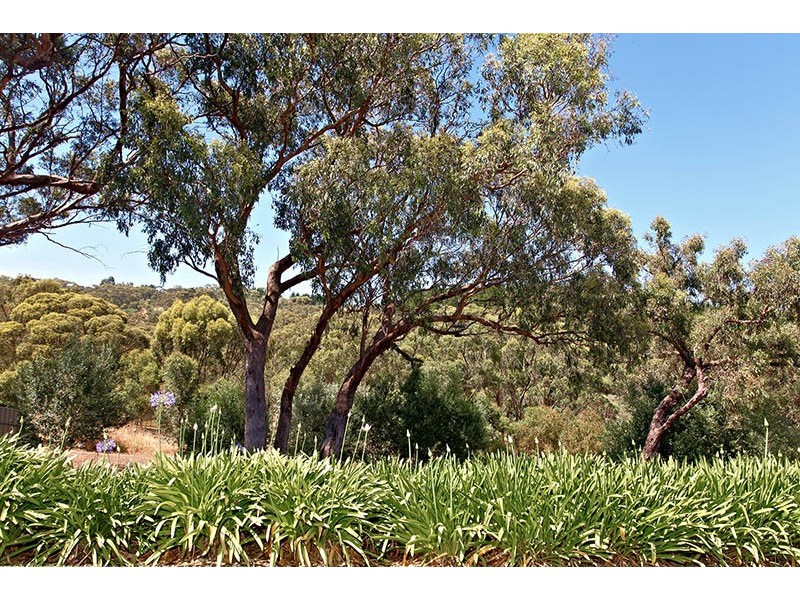 30 Dressage Avenue, Woodcroft SA 5162