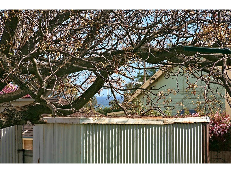 42 Clement Terrace, Christies Beach SA 5165