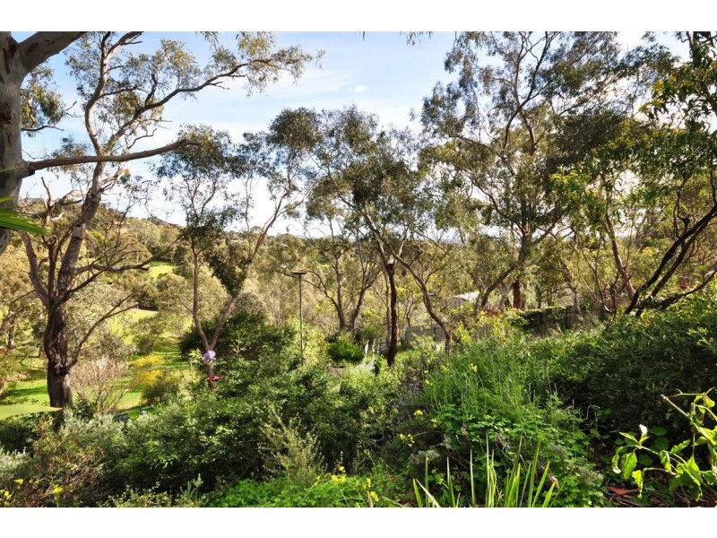 14 Grandview Court, Aberfoyle Park SA 5159