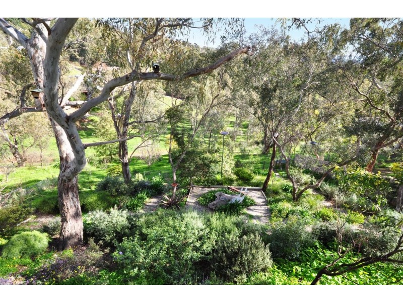 14 Grandview Court, Aberfoyle Park SA 5159