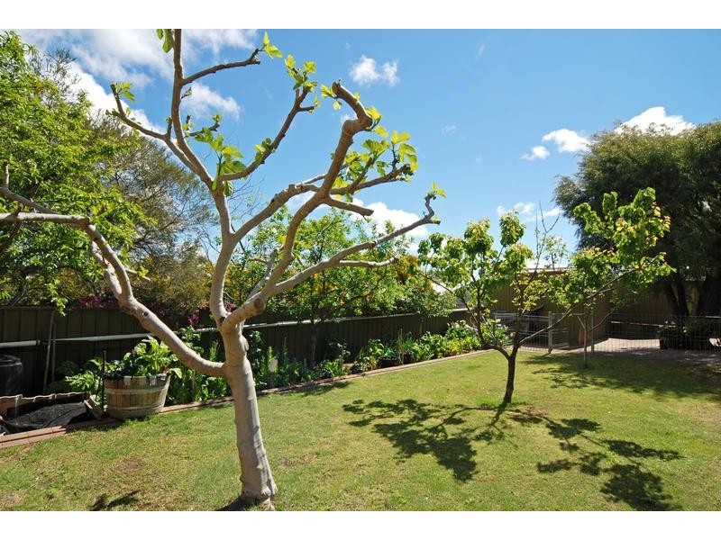 90 Oakridge Road, Aberfoyle Park SA 5159