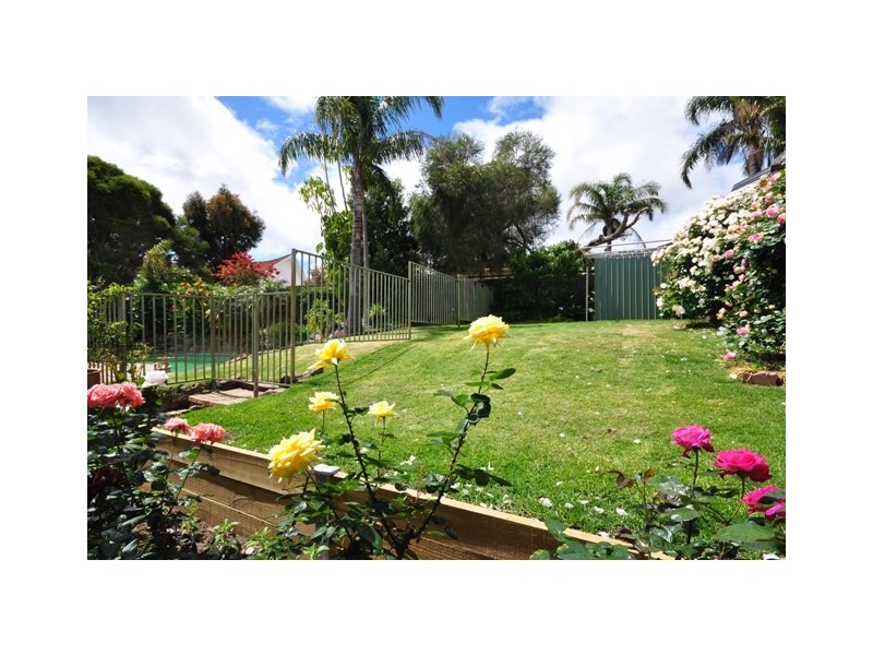 17 Corsair Street, Flagstaff Hill SA 5159