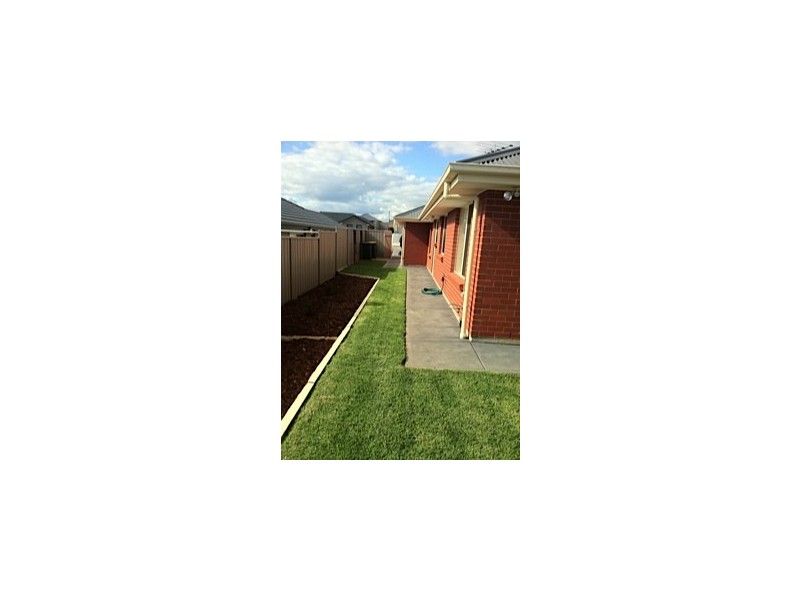 13 Sabella Place, Noarlunga Downs SA 5168