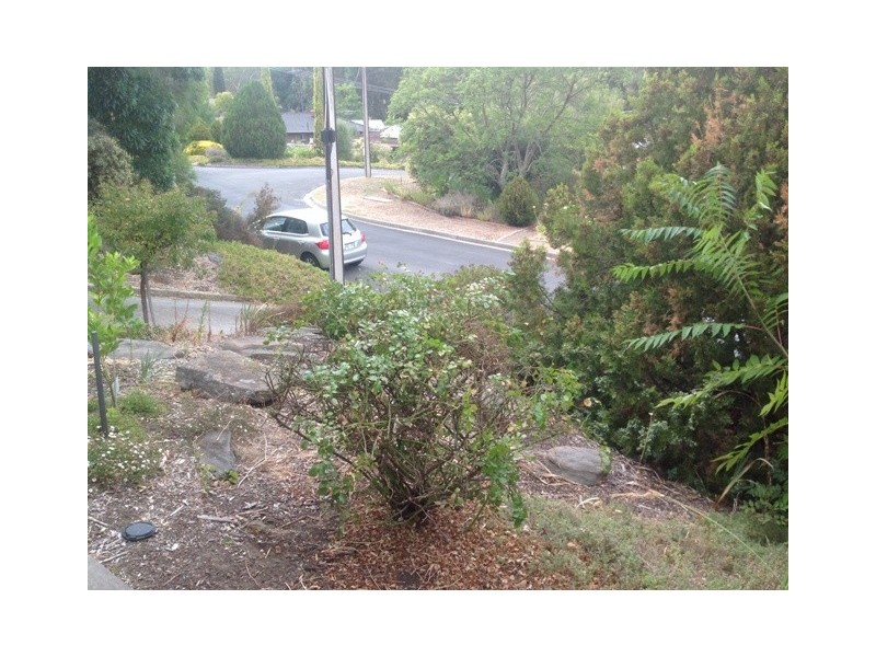 41 Alison Drive, Happy Valley SA 5159