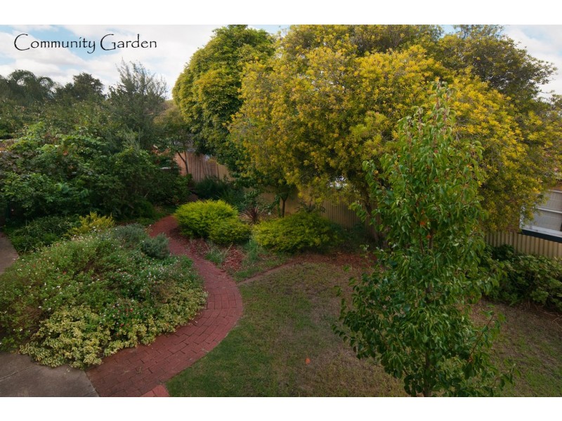 6/23 Daly Street, Kurralta Park SA 5037