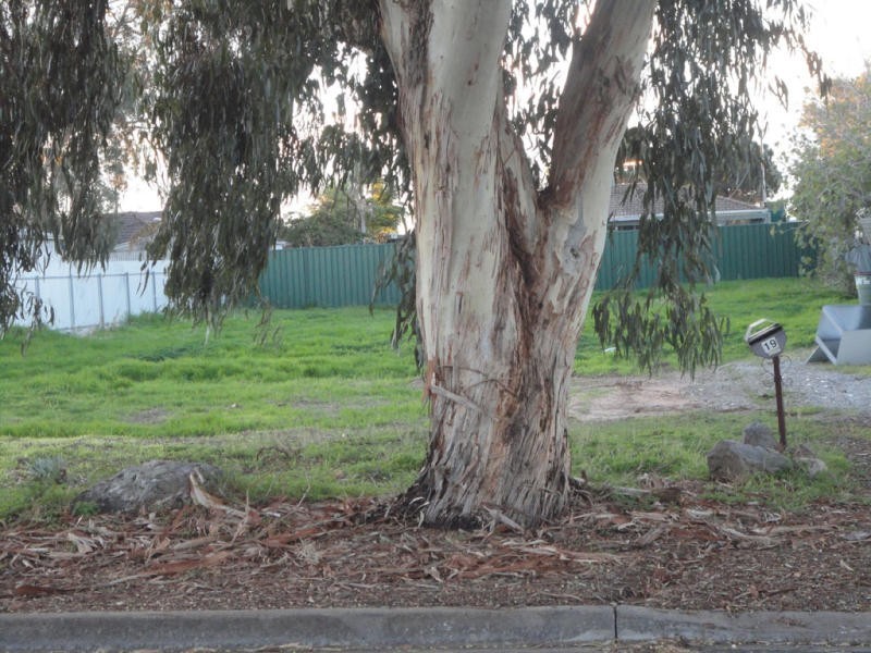 19 Selway Terrace, O’sullivan Beach SA 5166