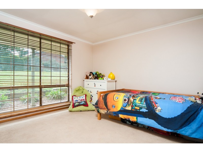 58 Torresan Crescent, Flagstaff Hill SA 5159