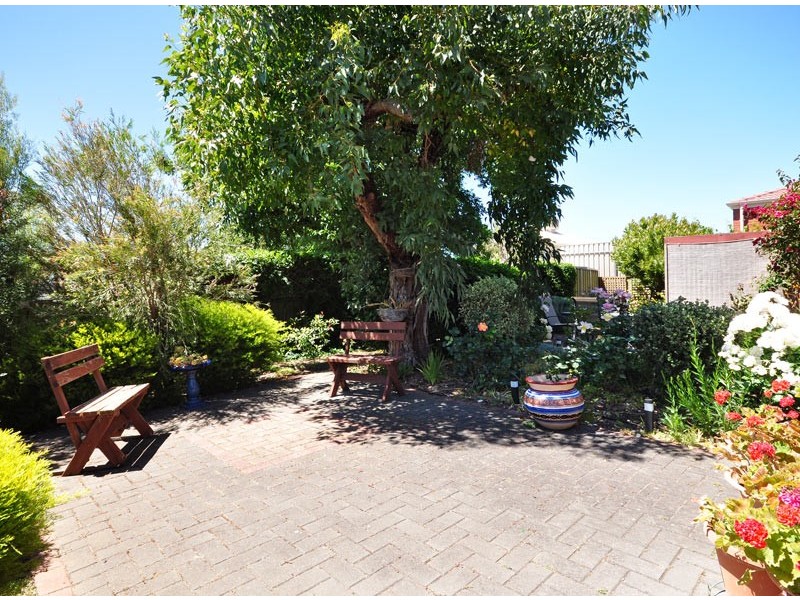 16 Chapman Avenue, Mclaren Vale SA 5171