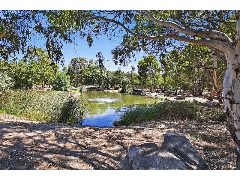 8/5 Barry Road, Oaklands Park SA 5046