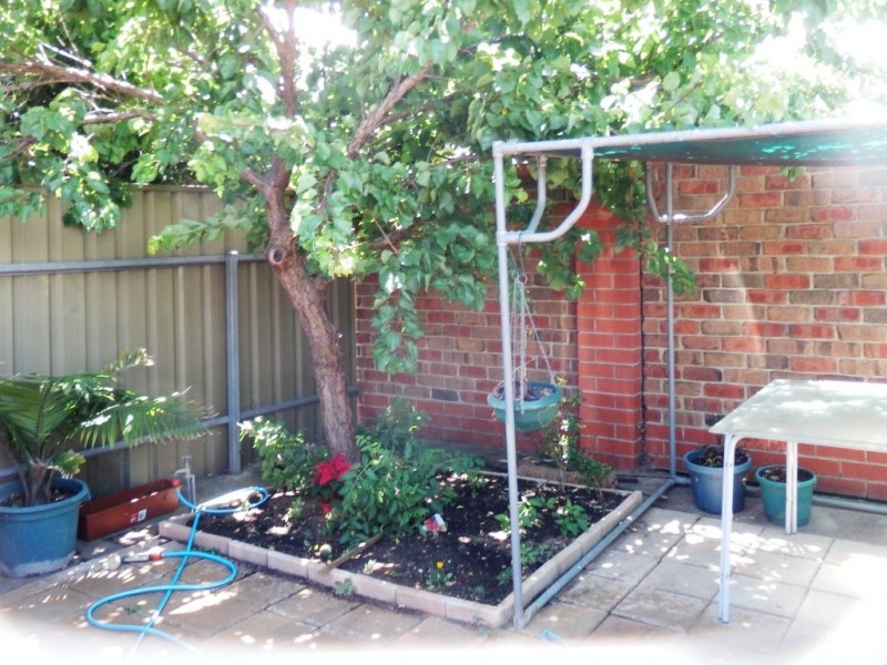 3/388 Marion Road, Plympton SA 5038