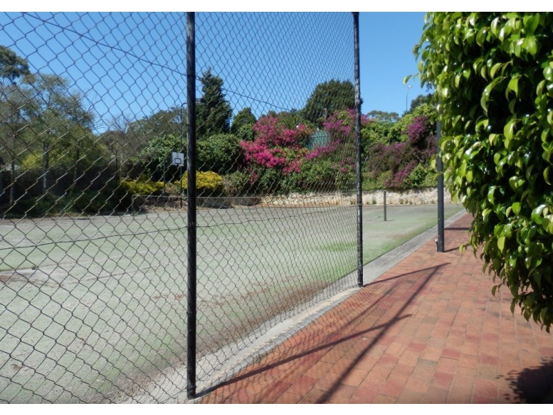 23 Bluebell Court, Flagstaff Hill SA 5159