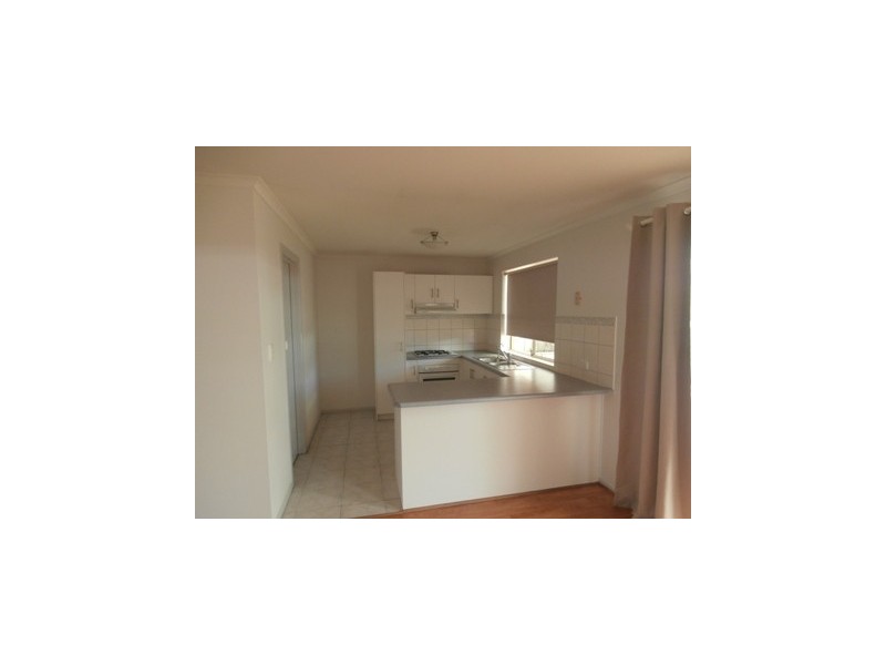 53 Riddoch Crescent, Woodcroft SA 5162