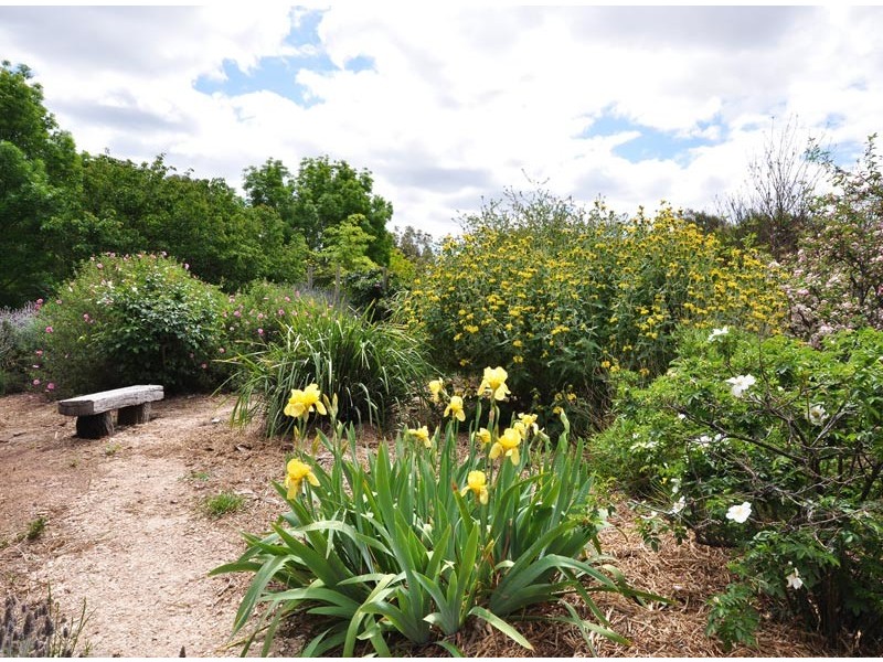 9 Graham Court, Strathalbyn SA 5255