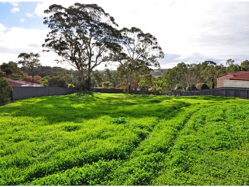 3 Kingfisher Circuit, Flagstaff Hill SA 5159