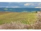 186 Branson Road, Tatachilla SA 5171