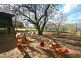 186 Branson Road, Tatachilla SA 5171