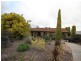 11 Proctor Street, Flagstaff Hill SA 5159