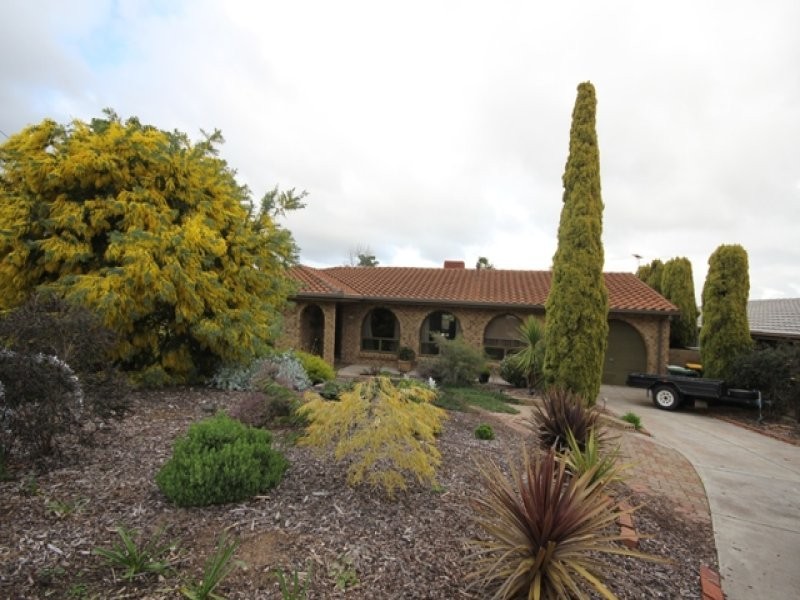 11 Proctor Street, Flagstaff Hill SA 5159