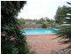 11 Proctor Street, Flagstaff Hill SA 5159