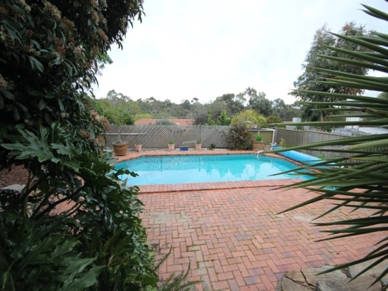 11 Proctor Street, Flagstaff Hill SA 5159