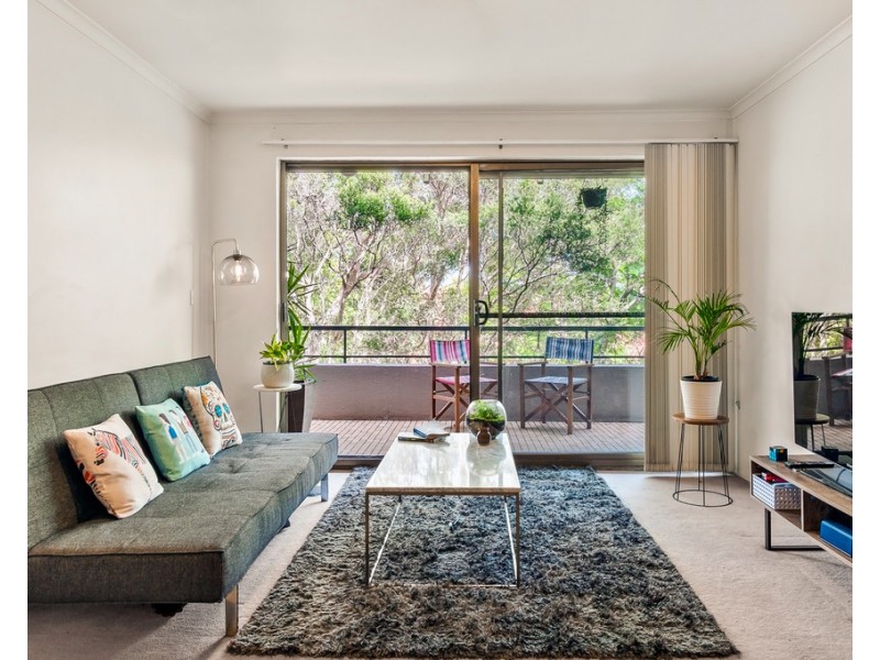 12/62 Palmer Street, Cammeray NSW 2062