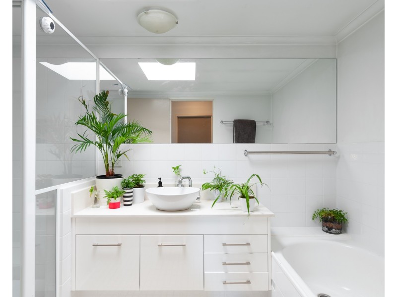 12/62 Palmer Street, Cammeray NSW 2062