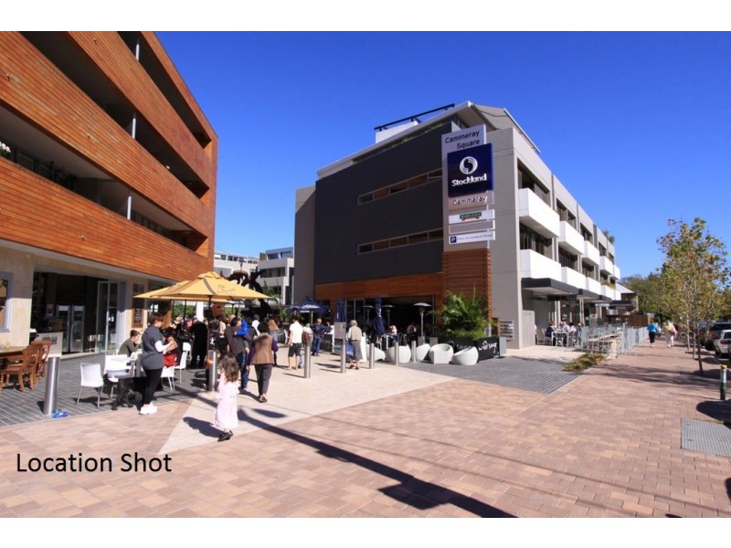 2/62 Palmer Street, Cammeray NSW 2062