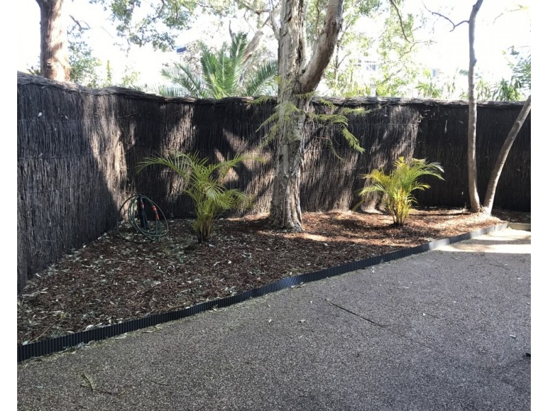 1/62 Palmer Street, Cammeray NSW 2062