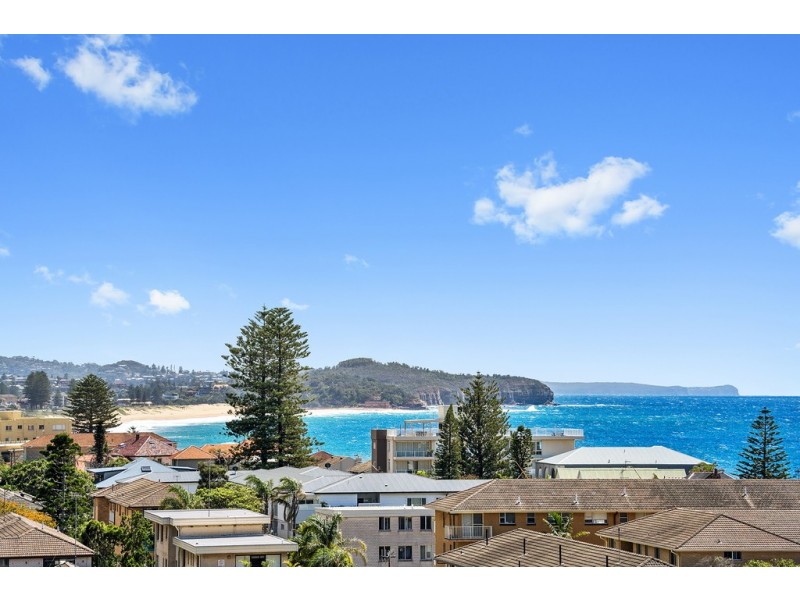 19 Frazer Street, Collaroy NSW 2097