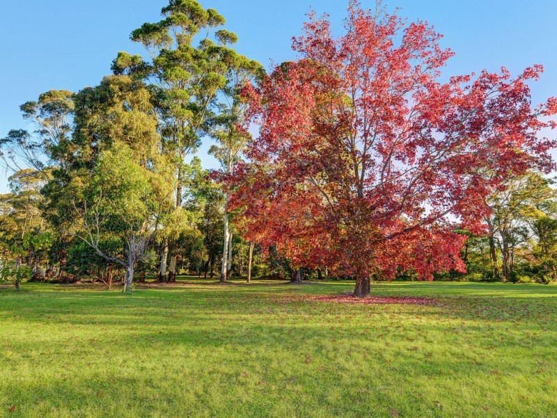 8 St Columbans Green, Turramurra NSW 2074