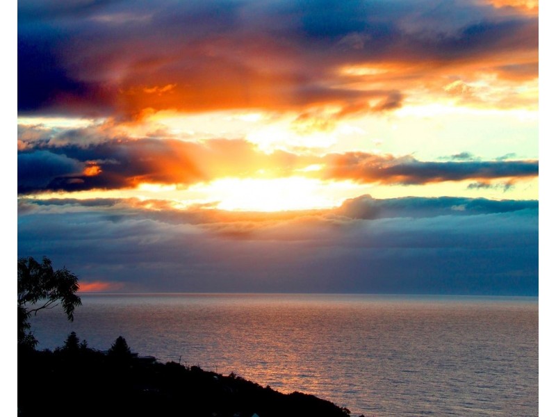 78 Grandview Drive, Newport NSW 2106