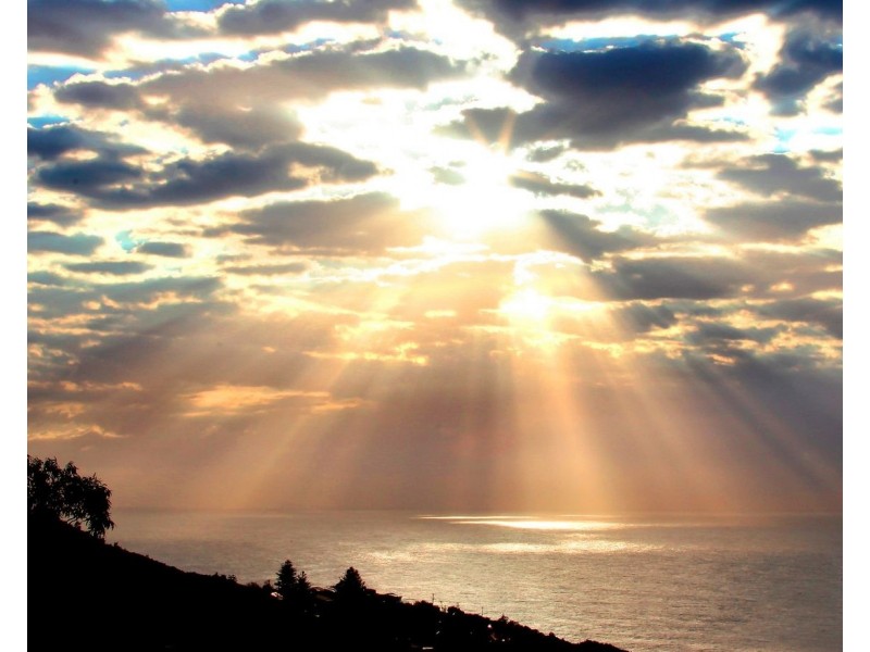 78 Grandview Drive, Newport NSW 2106