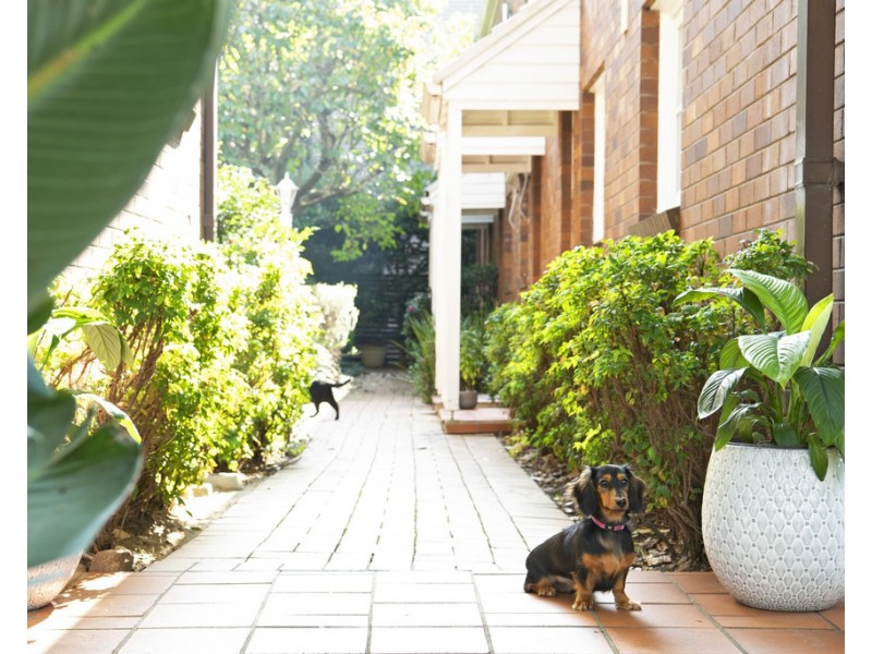 7/18-20 Greenwich Road, Greenwich NSW 2065