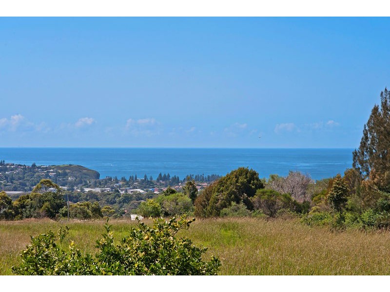 3 Walter Road, Ingleside NSW 2101