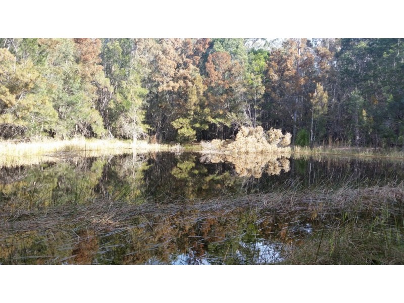 235 Aerodrome Road, Nabiac NSW 2312