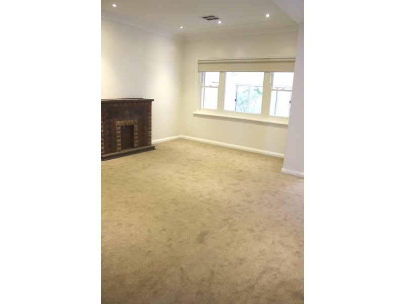 67 Waterloo Street, Narrabeen NSW 2101