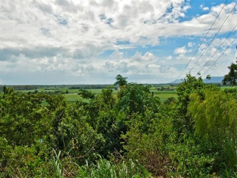 109 Fig Tree Drive, Caravonica QLD 4878