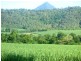 Lot 50 Mt Peter Road, Edmonton QLD 4869