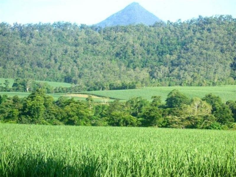 Lot 50 Mt Peter Road, Edmonton QLD 4869