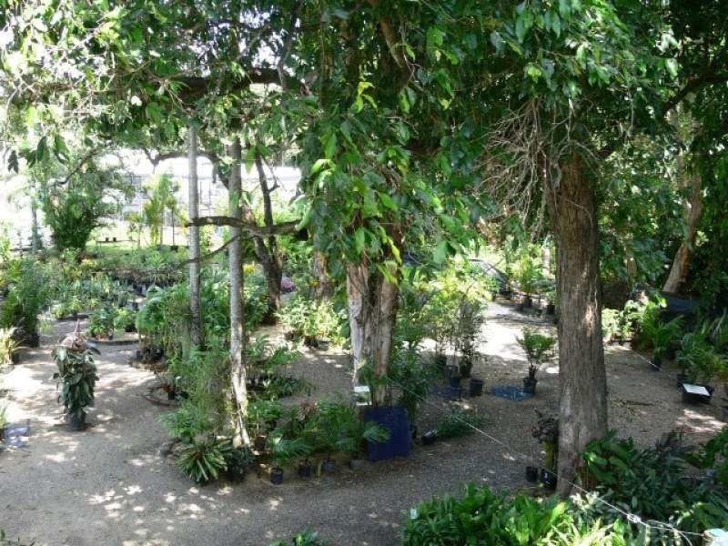 36 Donaldson Street, Manunda QLD 4870