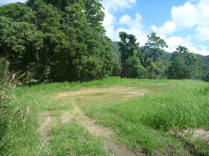 38 Osprey Close, Bayview Heights QLD 4868