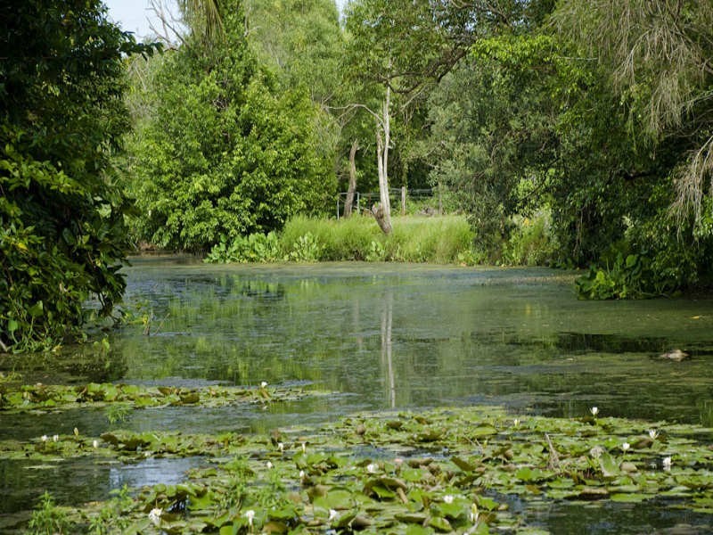 4-8 Greenacres Close, White Rock QLD 4868