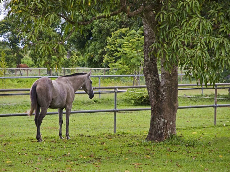 4-8 Greenacres Close, White Rock QLD 4868
