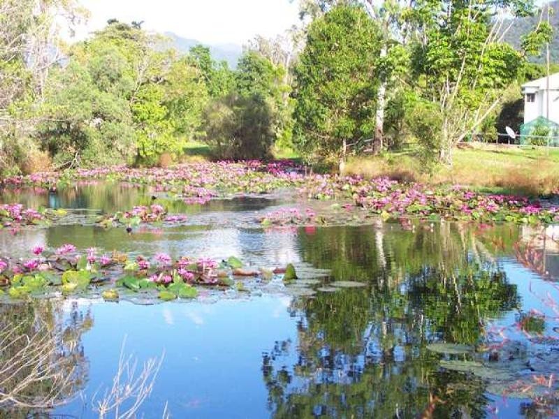 4-8 Greenacres Close, White Rock QLD 4868